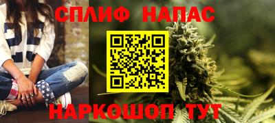 mdpv Краснознаменск